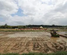 11位数-爱游戏官方登录